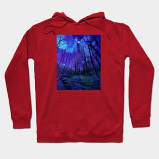 Forest at night Hoodie